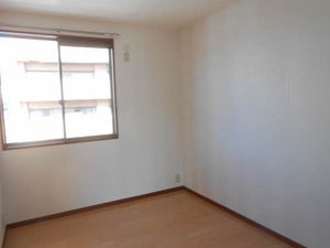 ディアス・パルモ A0101号-15