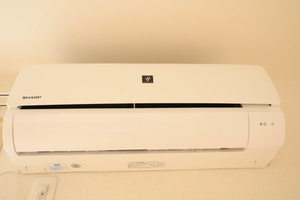 ブランシェＮ A0201号-13