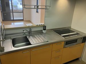 ディアス・パルモ一色 A0002号-2