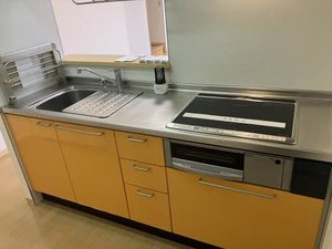 ディアス・パルモ一色 A0002号-6