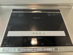 ディアス・パルモ一色 A0002号-7