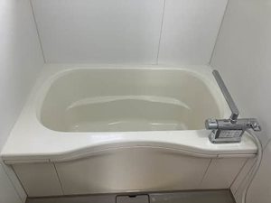 ディアス・パルモ一色 A0002号-12