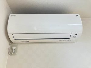 ディアス・パルモ一色 A0002号-13