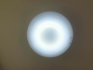 ブランシェ桜　Ｂ棟 B0201号-10