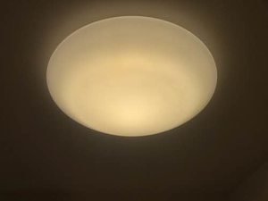 プランドール市坪 A0102号-13