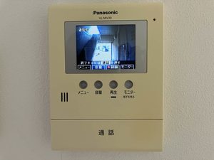 エターナル・グリーンⅡ A0102号-11