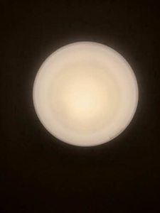 エターナル・グリーンⅠ A0205号-15