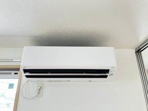ブランシュール A0202号-11