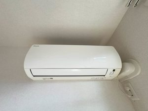 ブリエノーヴァ A0101号-11