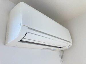 マグノリア　Ｂ B0102号-12