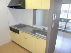 シャーメゾン ラフィーネ A棟 A0102号-3