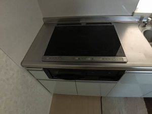 ビオラ天山 0201号-3