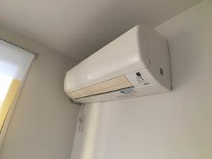 ビオラ天山 0201号-11