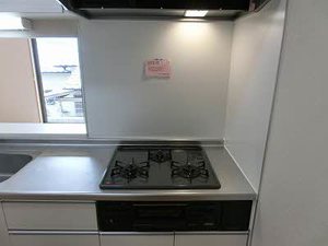 シャイニーヒルズＥ＆Ｍ 0101号-11