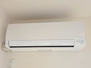 レジデンス A0202号-10