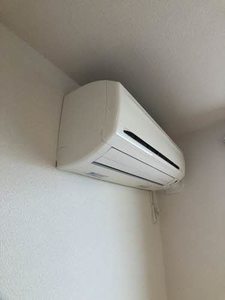 Ｎｏｒｔｈ　Ｍａｒｒｙ 202号-11