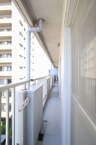 Ｃ．Ｃ．ＣＯＵＲＴ五日市駅前 A0502号-11