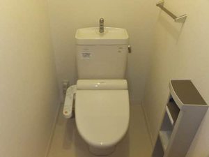 ソフィアＭ　Ⅴ A0101号-12