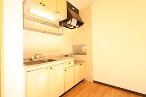 ソフィアＭ　Ⅰ A0102号-5