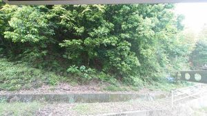 グランドメゾン片島　Ｆ棟 F101号-14