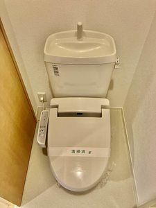ルミエール竹原 B棟 B0206号-6
