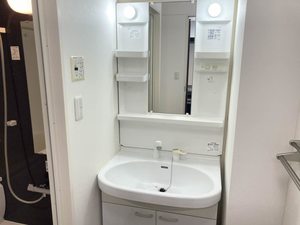 シャーメゾン・デュコンフォール A0103号-8