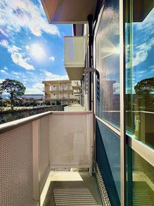 シャーメゾンnonnon A0101号-11