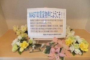 バレモレラ A0201号-2