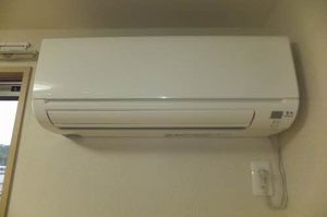 バレモレラ A0201号-11