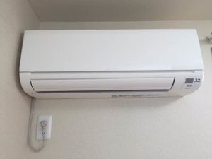 バレモレラ A0202号-9