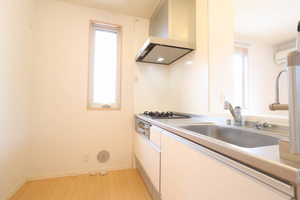 シーゲル（Ｓｉｅｇｅｌ） A0201号-5