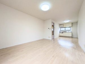 トリコローレ B B0105号-2