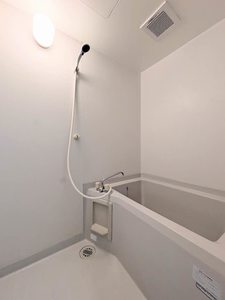 トリコローレ B B0105号-6