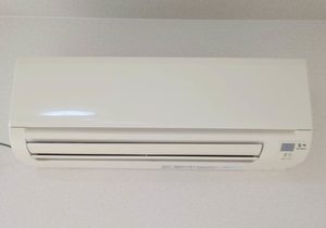 トリコローレ B B0105号-10