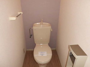 ディアスＴＡＮＡＫＡ　Ｃ棟 A0102号-2