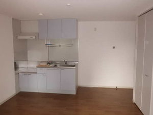 ディアスTANAKA C棟 A0202号-10