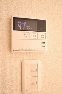 グリーンヒルズ勝田 A0102号-14