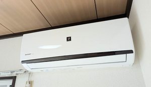 フレグランス 前町 A0201号-13
