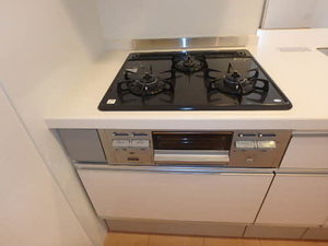 コフレ　Ｃ棟 C0202号-4
