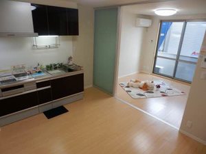 リラ・ショーカ 0105号-11