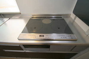 シャーメゾンＡＹＡ　Ⅱ番館 B0203号-9