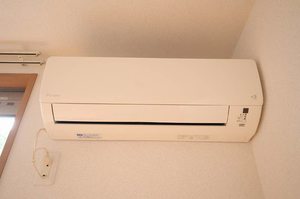 なでしこくるめ木 A0102号-14
