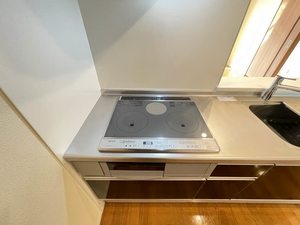 シャーメゾン・トレニア A0101号-13