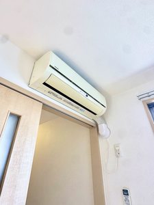 プロヌーブ大福 A0203号-6