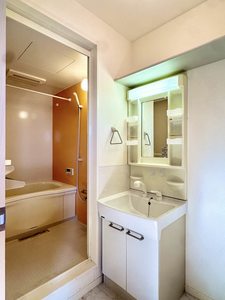 プロヌーブ大福 A0203号-9