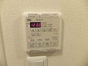 ＳｈａＭａｉｓｏｎ　Ａｍｂｉｅｒａ A0103号-10