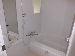 リアルエステート東原タワー A0503号-3