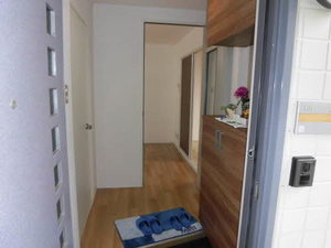 ドムス・ヒルズ A館 A101号-3