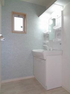 Ｂｉｒｄｉｅ２２ B0101号-8