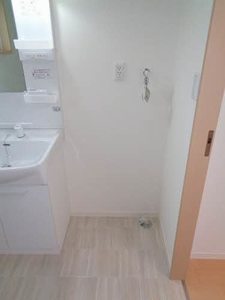 Ｂｉｒｄｉｅ２２ B0101号-10